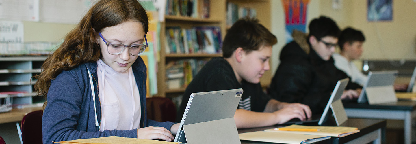 Student working on a computer in class.