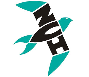 NVI Logo