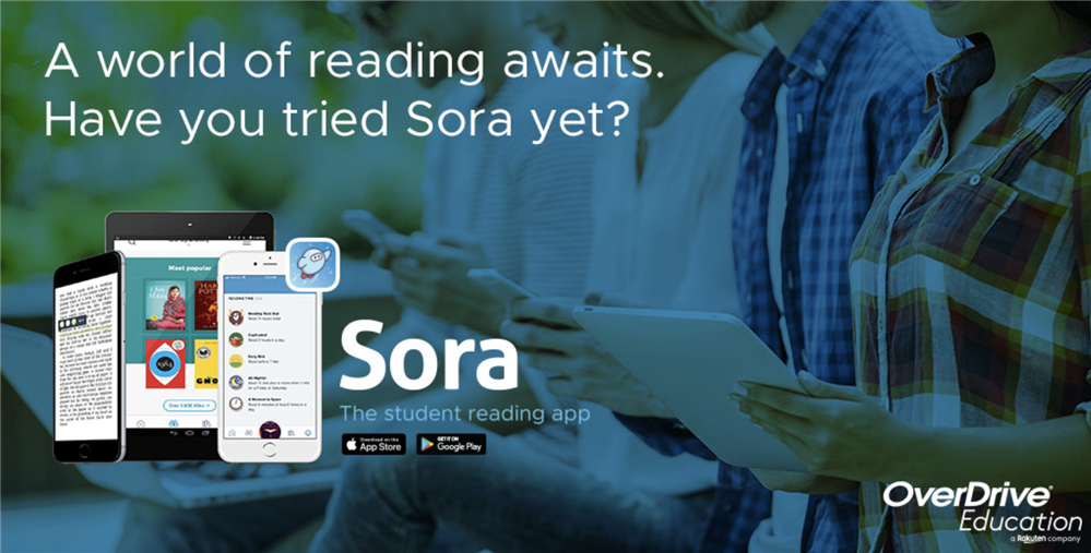 Have you tried Sora yet?