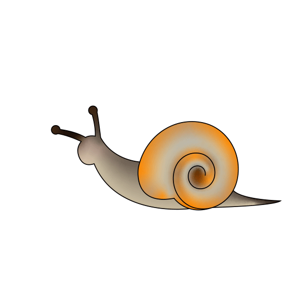 Snail WiFi