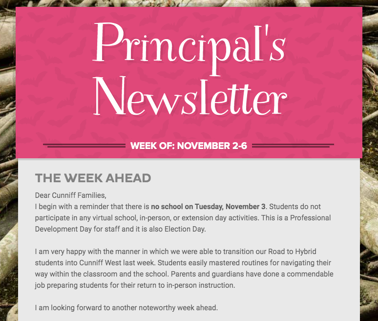 Newsletter Image