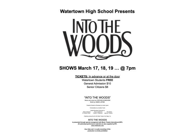 Into the Woods Poster