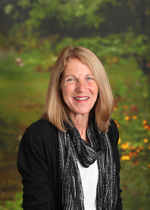 Adrienne Galasti Adrienne Galasti