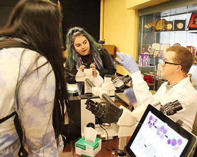 Parasites and diseased blood through microscopes.