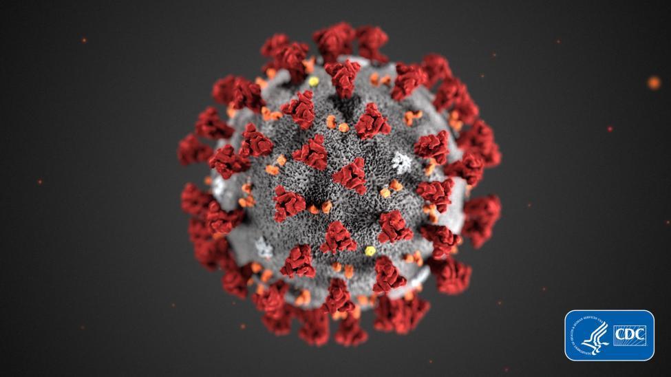 Photo of COVID-19 virus