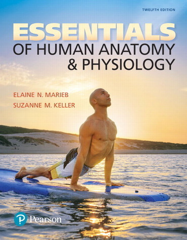 Human Anatomy & Physiology