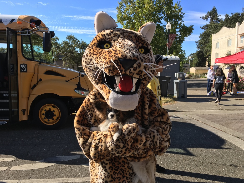 WHS Mascot standing in front of a WUSD School Bus