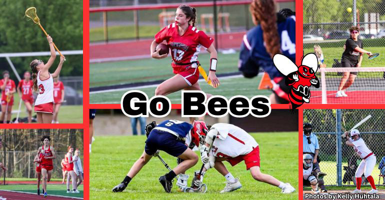 Go Bees