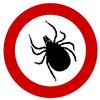 a black tick