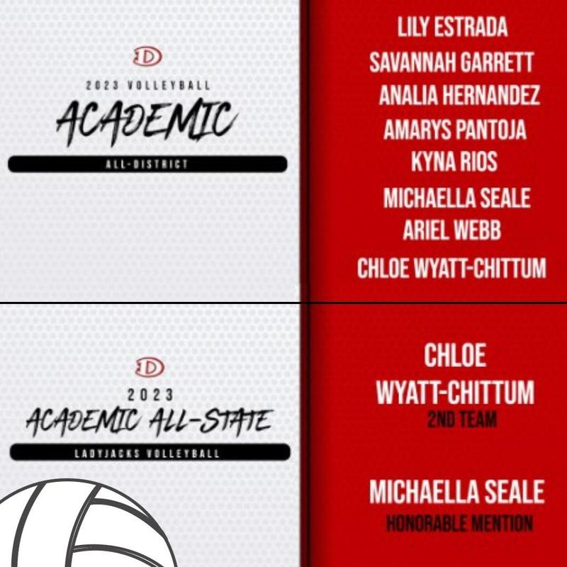 Volleyball Academic Awards