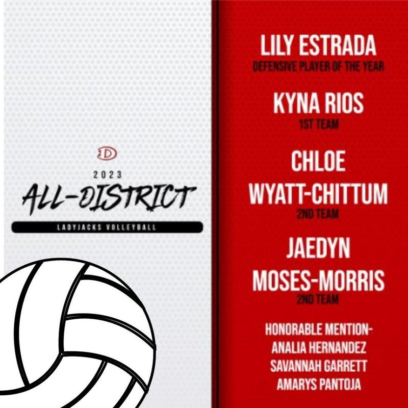 Volleyball All District Awards