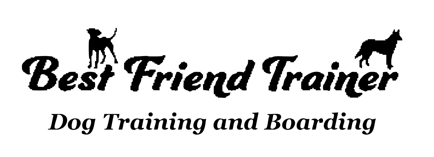 Best Friend Trainer