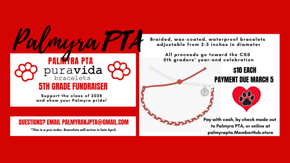 Pura Vida bracelet poster PTA