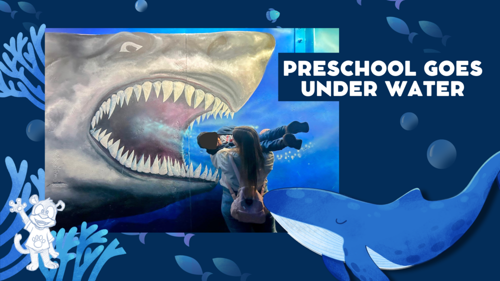PRESCHOOL FIELD TRIP aquarium