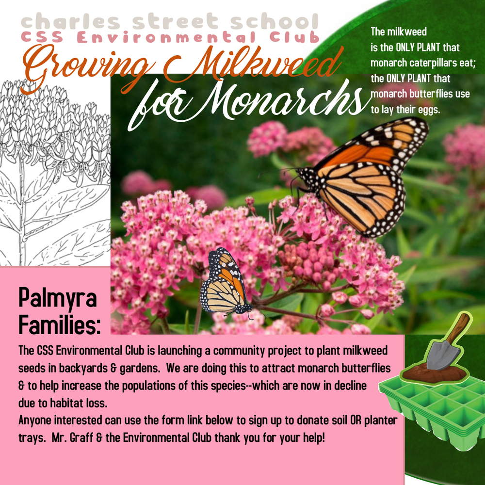 Milkweed for Monarchs