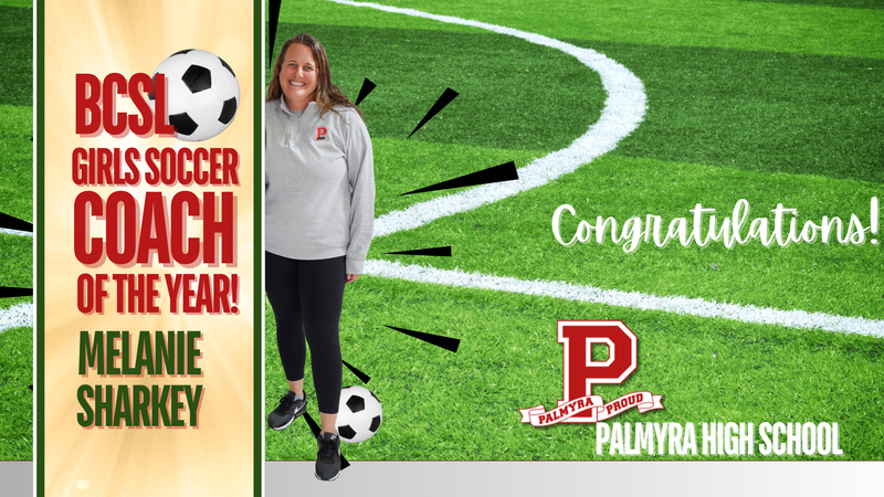 photo of soccer field with ball & coach