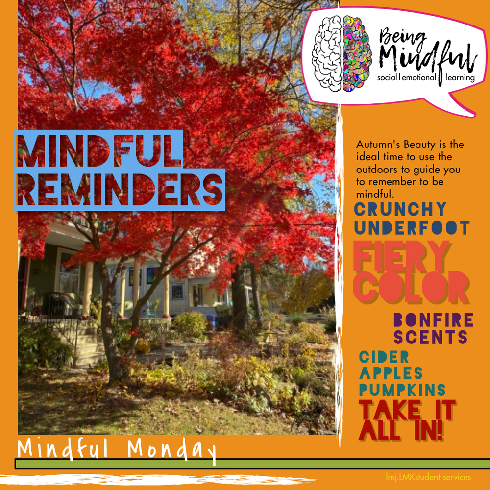 Mindful Monday #random