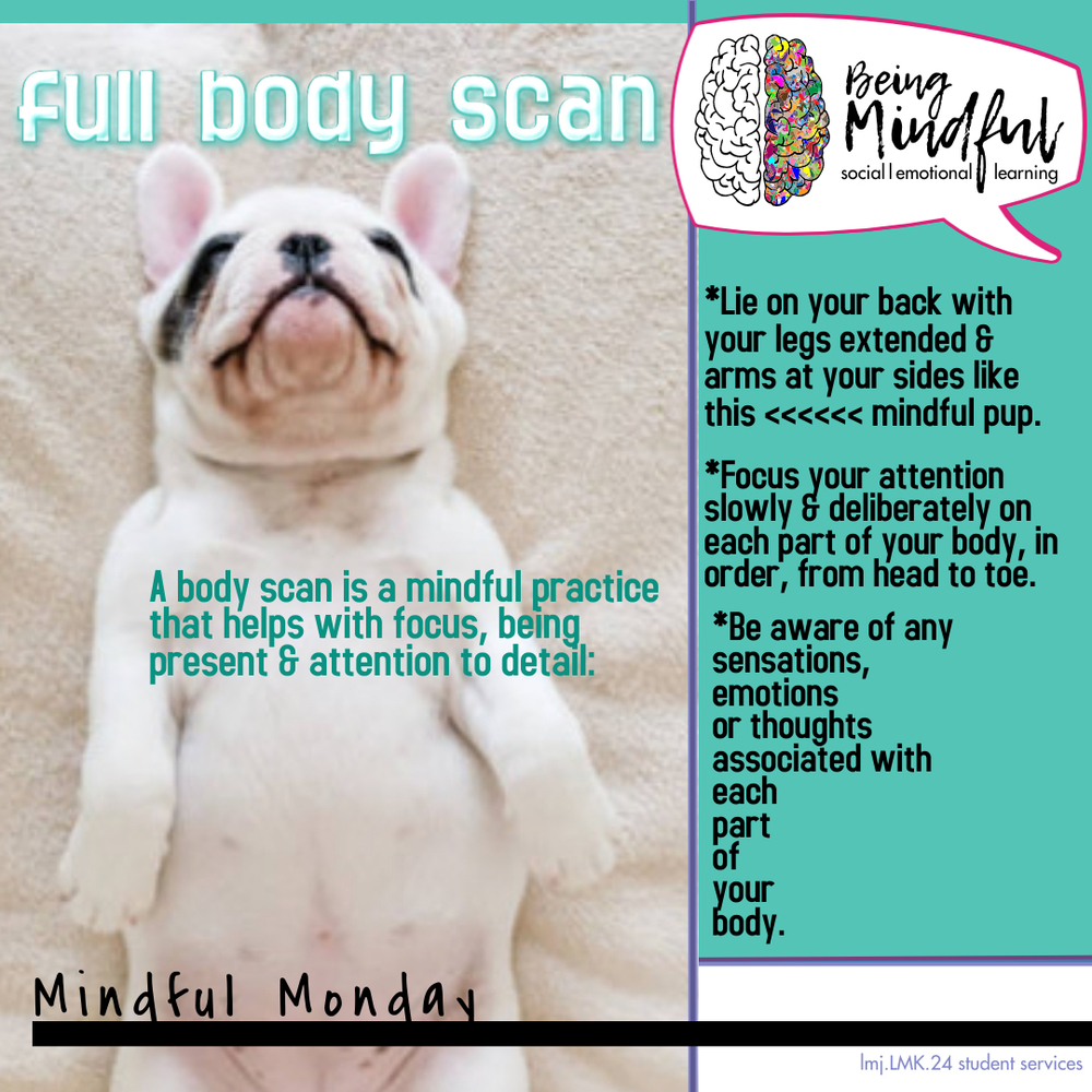 Pupper being mindful Mindful Monday