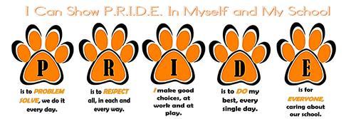 PRIDE image 