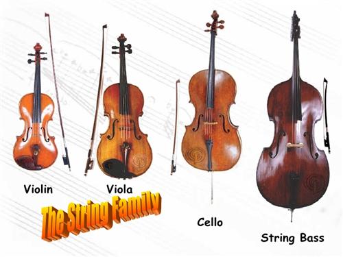 String Family 