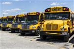 Link to CCPS Bus Information Page