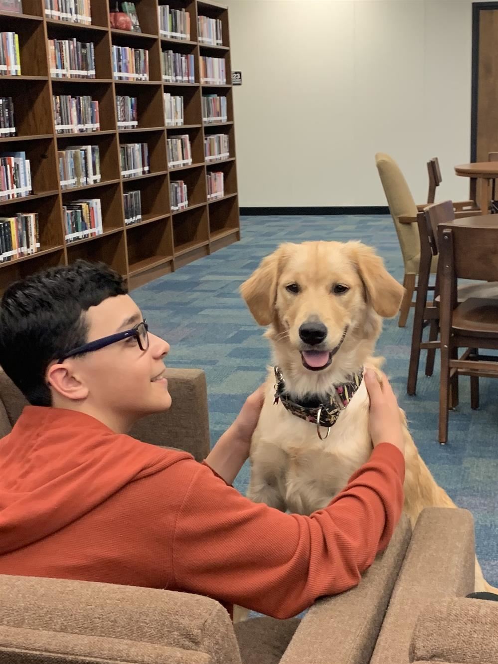 Dogs like books too!