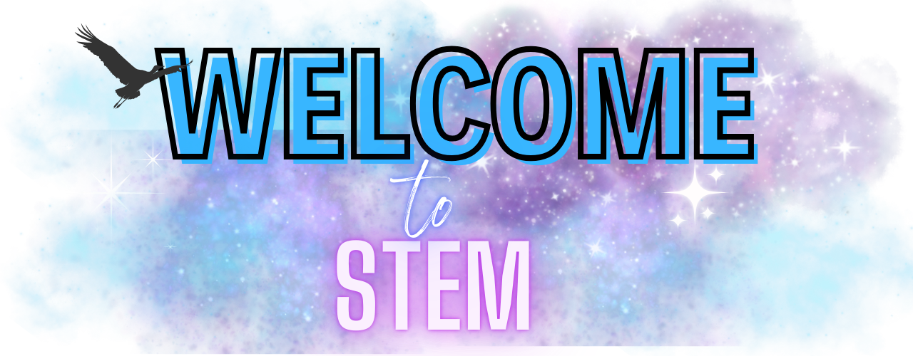 Welcome to STEM